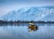 Dal Lake In Winter