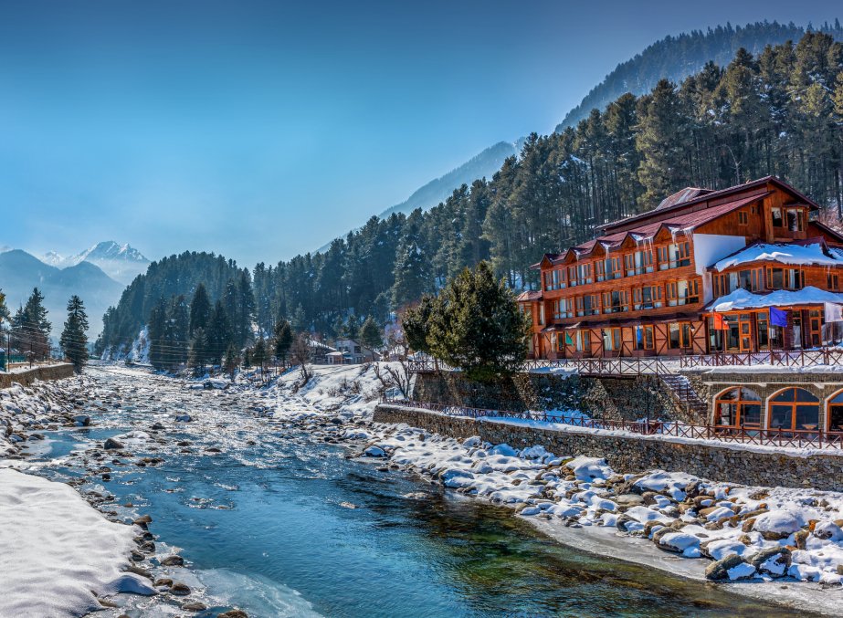 snow frozen Himalayas glacier mountains and green fir and pine tree line forest landscape