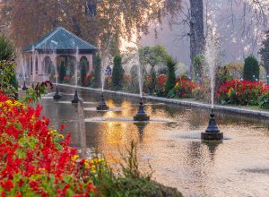 Exploring the Mughal Gardens