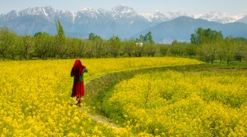 Gurez Valley Tour